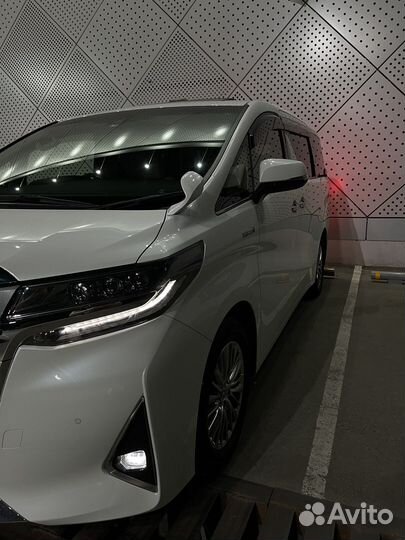 Toyota alphard аренда