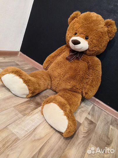 Плюшевый медведь