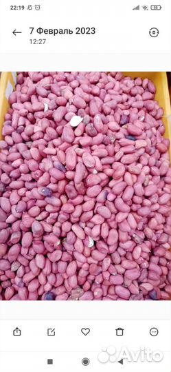 Грецки орех свежий урожай