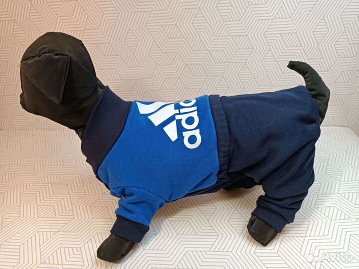 Одежда для собак