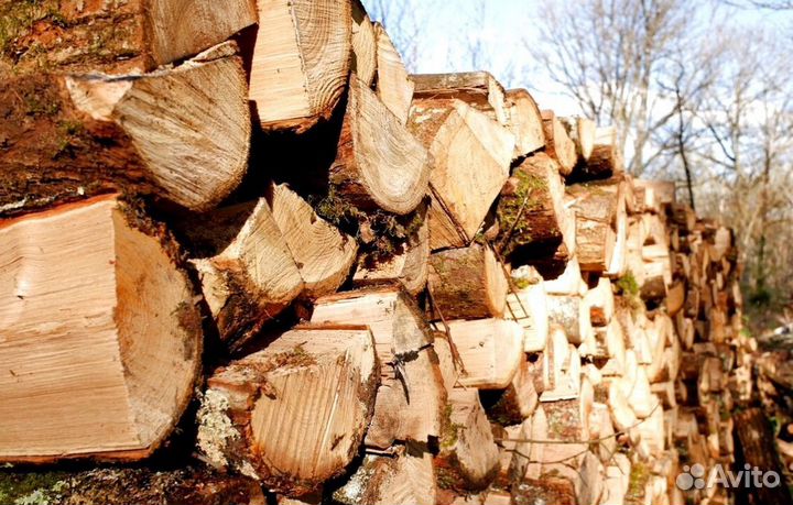 Дрова березовые
