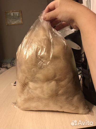 Шерсть домашней собаки