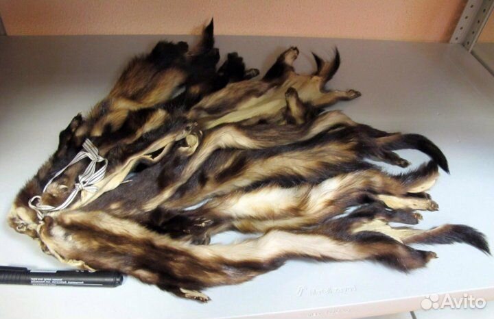 Шкурки норки и хорька