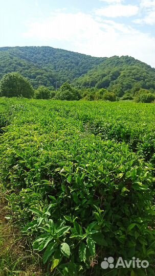 Экскурсия на 33 водопада