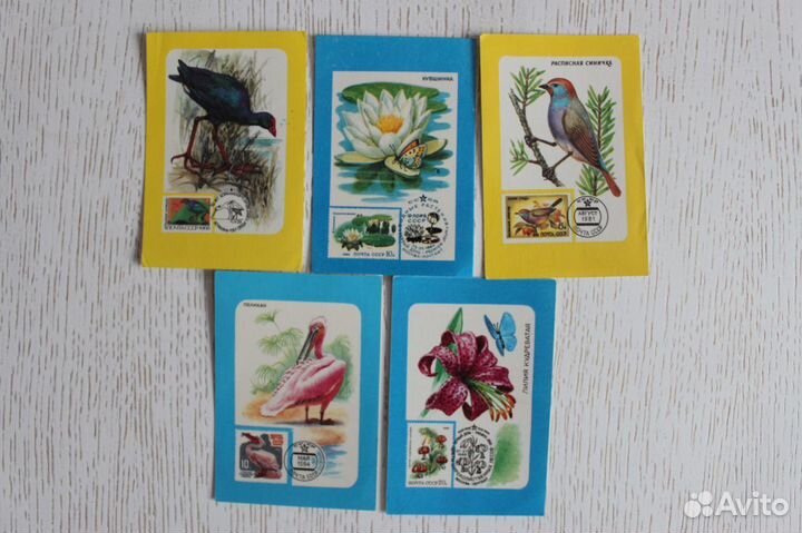 Календари N5