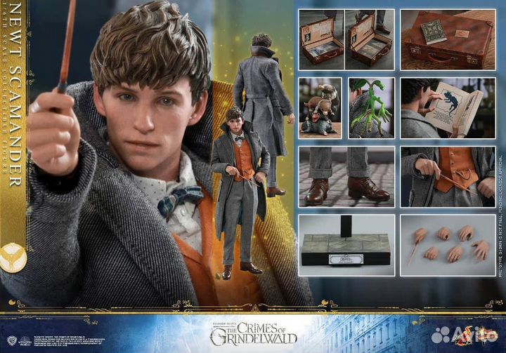 Hot toys Fantastic Beasts Grindelwald Newt