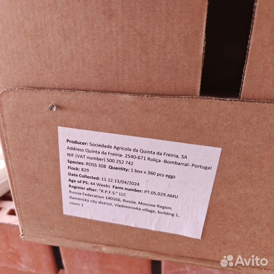 Цыплята бройлеры 