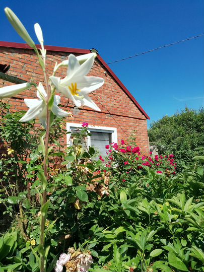 Дом 88 м² на участке 19 сот.