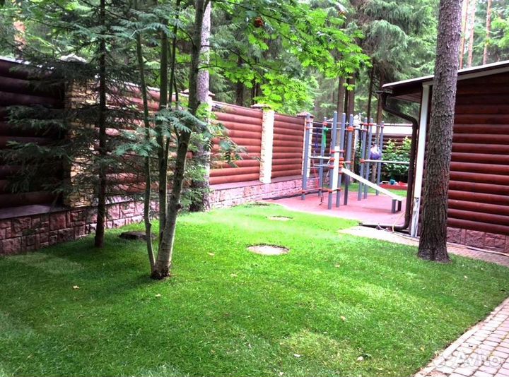 Рулонный газон