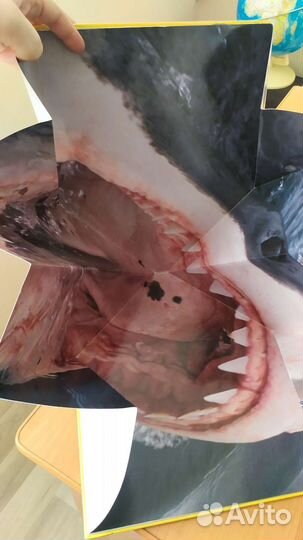 Книга, объёмные фото