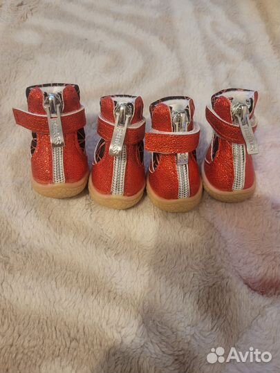 Зимние ботинки для собак