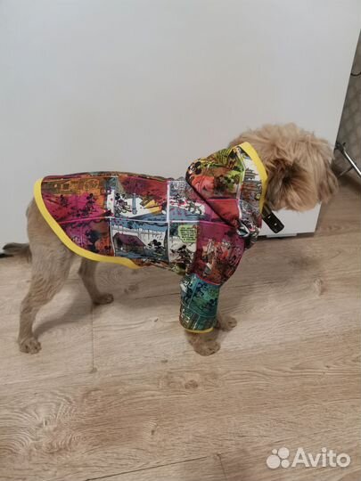 Худи для собаки