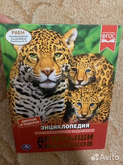 Энциклопедия с заданиями