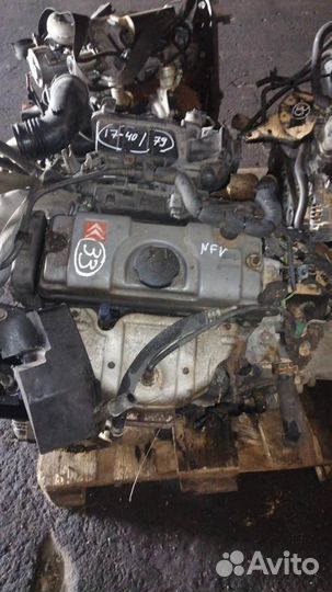 Двигатель Citroen Xsara NFV 1.6 бензин