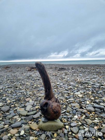 Дрифтвуд коряга