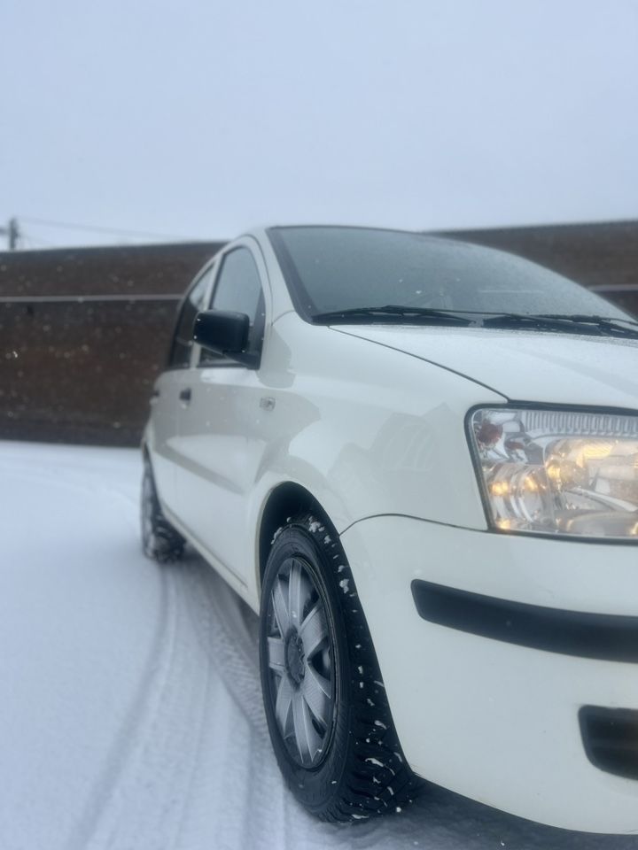 FIAT Panda: фото владельца