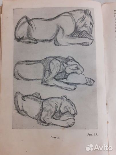 Книга Я.А.Башилов Как научиться рисовать СССР