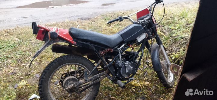 Зид пилот 50