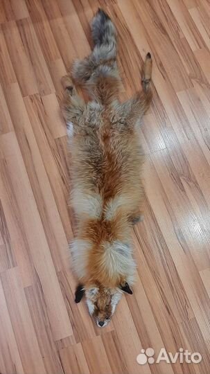 Выделаная шкурка лисы