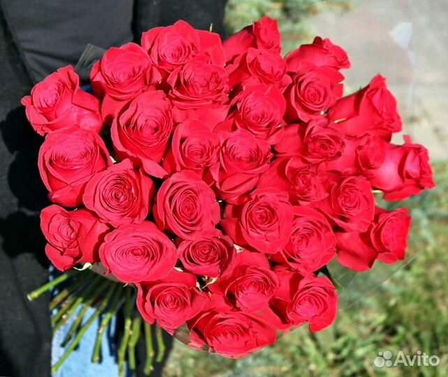 Роза 100см с доставкой. Букет роз с доставкой