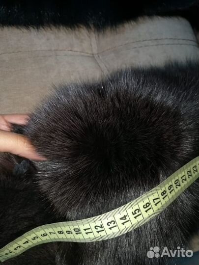 Шкура (писец, евро)