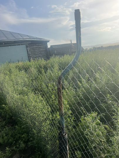 Участок 48 сот. (ИЖС)