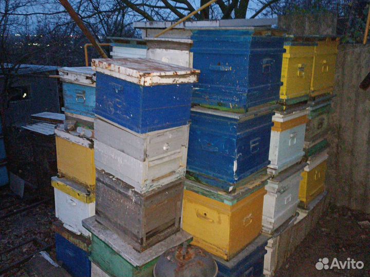 Улей для пчел