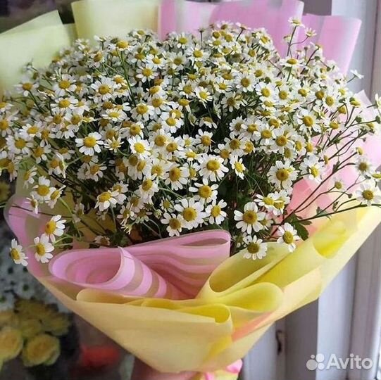 Ромашки Букет из ромашек доставка