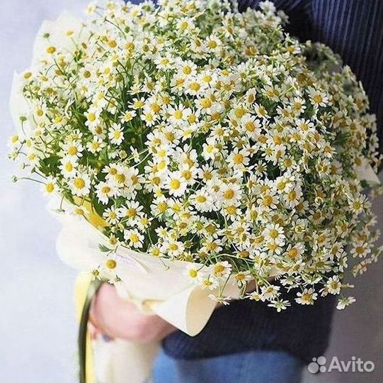 Ромашки Букет из ромашек доставка