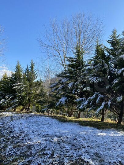 Коттедж 468 м² на участке 22 сот.