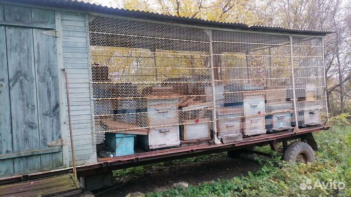 Продается пасека