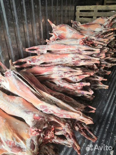 Баранина оптом