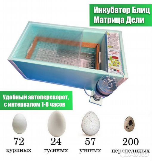 Продажа Инкубатора