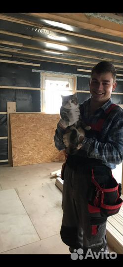 Услуги плотника / строительная бригада