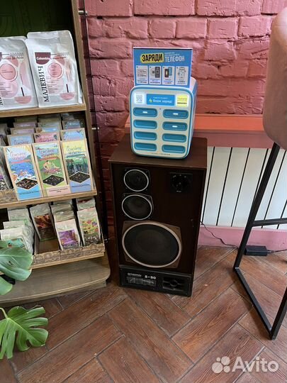 Колонки радиотехника s90