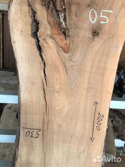 Слэб Ореха нск