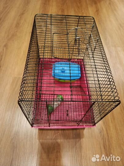 Клетка для грызунов бу