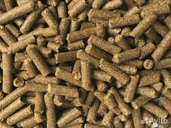 Шрот подсолнечный