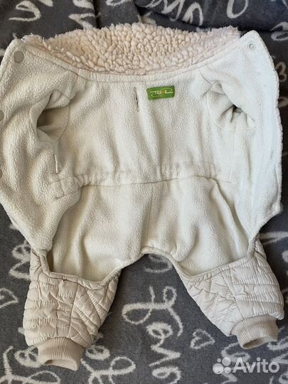 Комбинезон для мелкой собаки весна