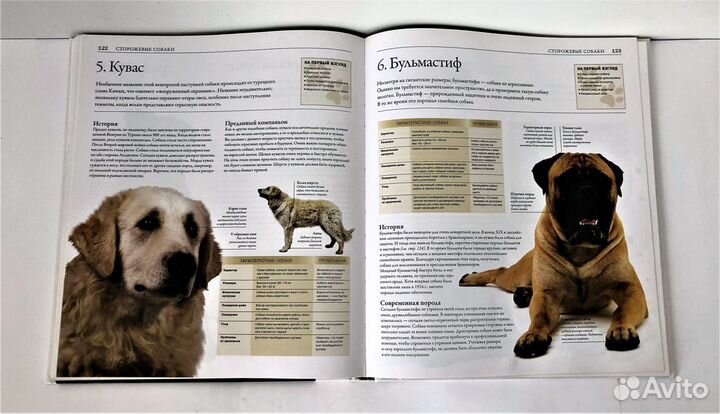 Серия «Домашние питомцы. Зоологи рекомендуют»