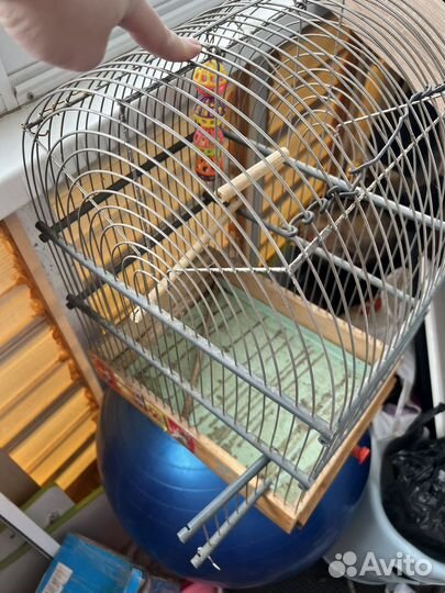 Клетка для попугая