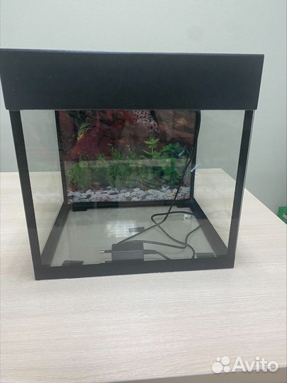 Аквариум / Акватеррариум 25 л