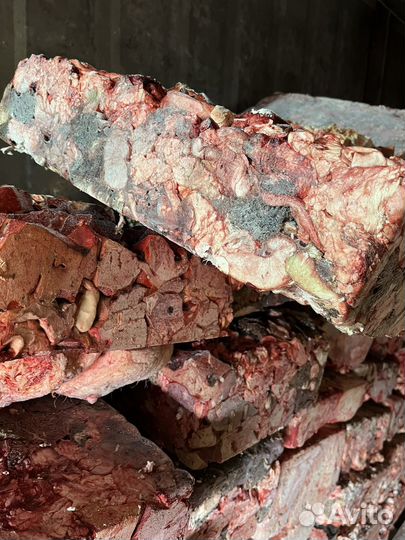 Говяжьи обрези для собак