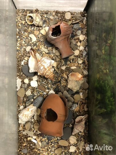 Аквариум для рыб