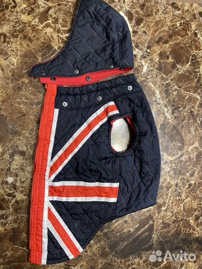 Зимняя попона