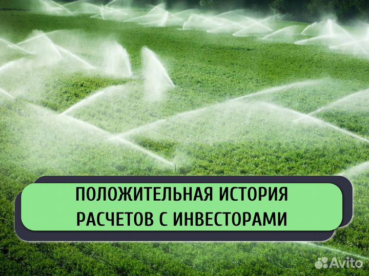 Ищу инвестора в с/х. Доход до 50%
