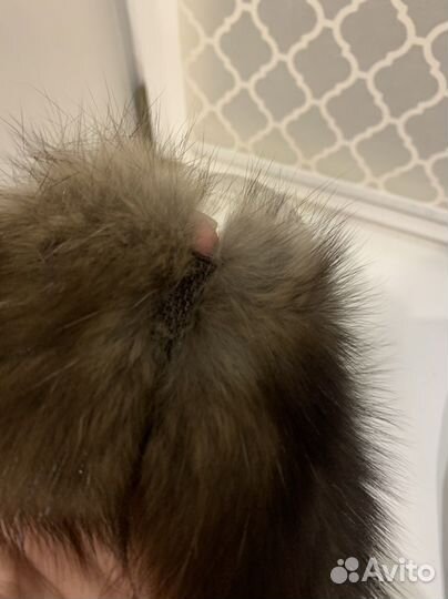 Меховая повязка из соболя(баргузин), на резинке