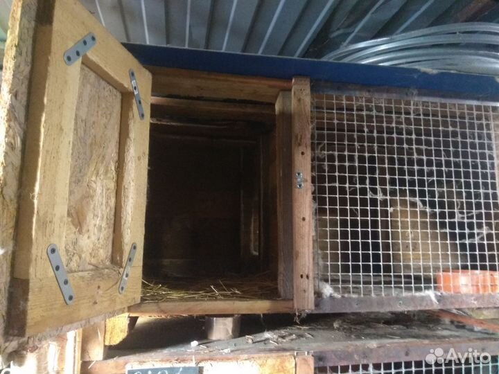 Продажа клеток для кроликов, грызунов, животных