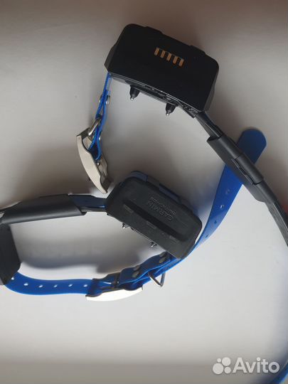 Ошейники Garmin tt15 версия евро русс амер