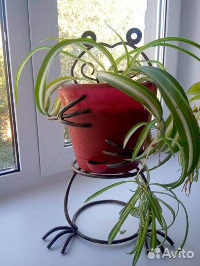 Подставка,лягушка